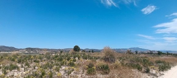 Grundstück in Mula, Spain 800000m², Nr. 163225 21