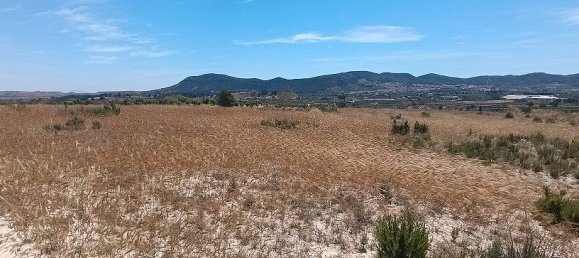 Grundstück in Mula, Spain 800000m², Nr. 163225 22