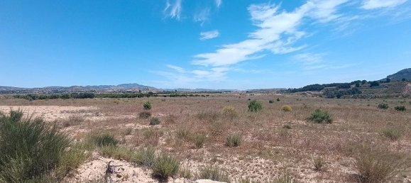 Grundstück in Mula, Spain 800000m², Nr. 163225 25