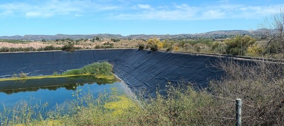 Grundstück in Mula, Spain 800000m², Nr. 163225 2