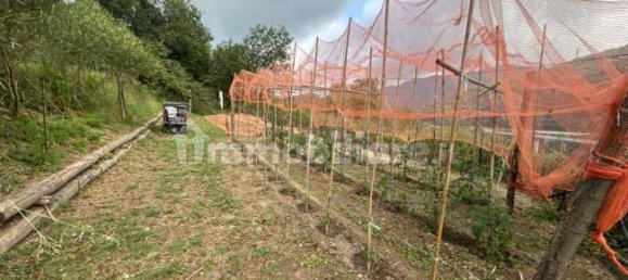 Grundstück in Quiliano, Italy 4000m², Nr. 302190 13