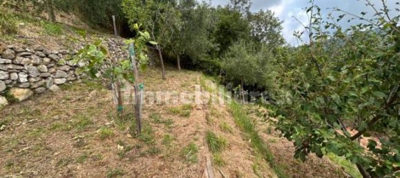 Grundstück in Quiliano, Italy 4000m², Nr. 302190 10