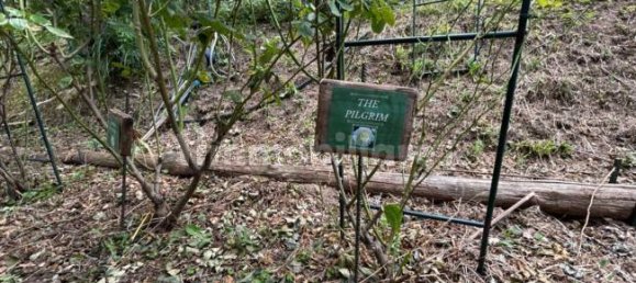 Grundstück in Quiliano, Italy 4000m², Nr. 302190 4