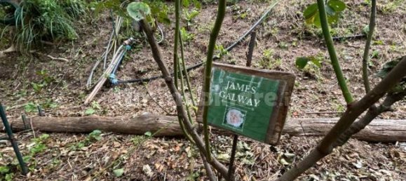 Grundstück in Quiliano, Italy 4000m², Nr. 302190 6