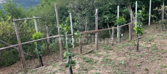 Grundstück in Quiliano, Italy 4000m², Nr. 302190 15