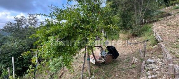 Grundstück in Quiliano, Italy 4000m², Nr. 302190 21