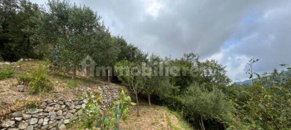 Grundstück in Quiliano, Italy 4000m², Nr. 302190 11