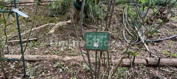 Grundstück in Quiliano, Italy 4000m², Nr. 302190 7