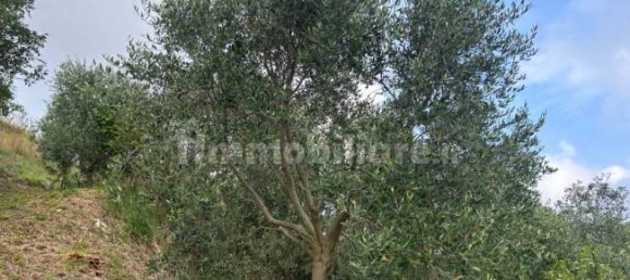 Grundstück in Quiliano, Italy 4000m², Nr. 302190 28