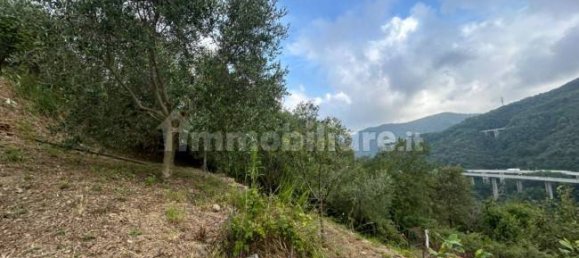 Grundstück in Quiliano, Italy 4000m², Nr. 302190 27