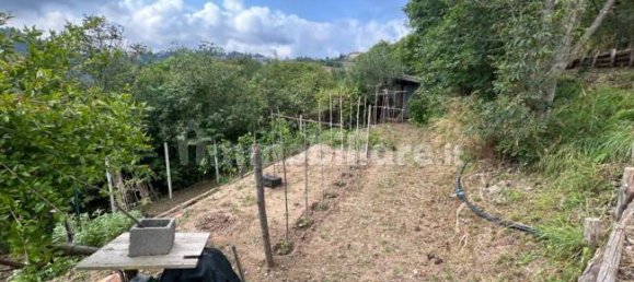 Grundstück in Quiliano, Italy 4000m², Nr. 302190 12