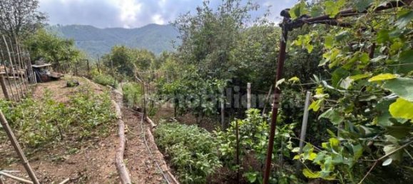 Grundstück in Quiliano, Italy 4000m², Nr. 302190 25