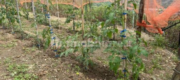 Grundstück in Quiliano, Italy 4000m², Nr. 302190 14