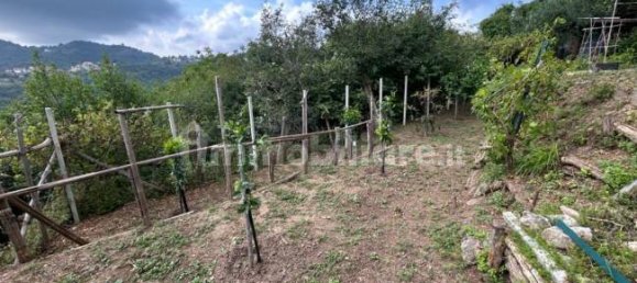 Grundstück in Quiliano, Italy 4000m², Nr. 302190 16