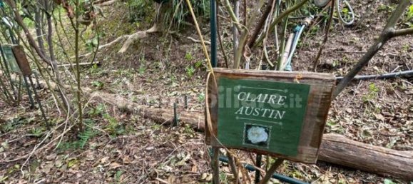 Grundstück in Quiliano, Italy 4000m², Nr. 302190 5