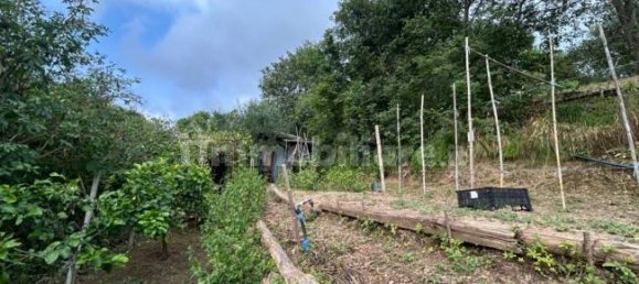 Grundstück in Quiliano, Italy 4000m², Nr. 302190 19