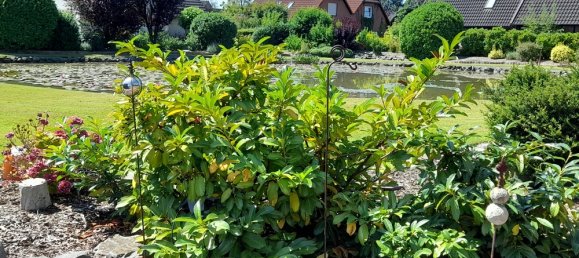 5-Zimmer Haus in Wesermarsch, Germany, Nr. 167900 9