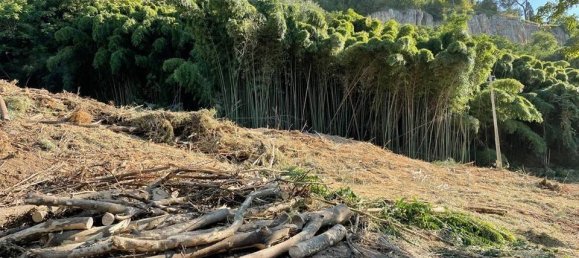 7 Schlafzimmer Haus in Orvieto, Italy, Nr. 353889 11