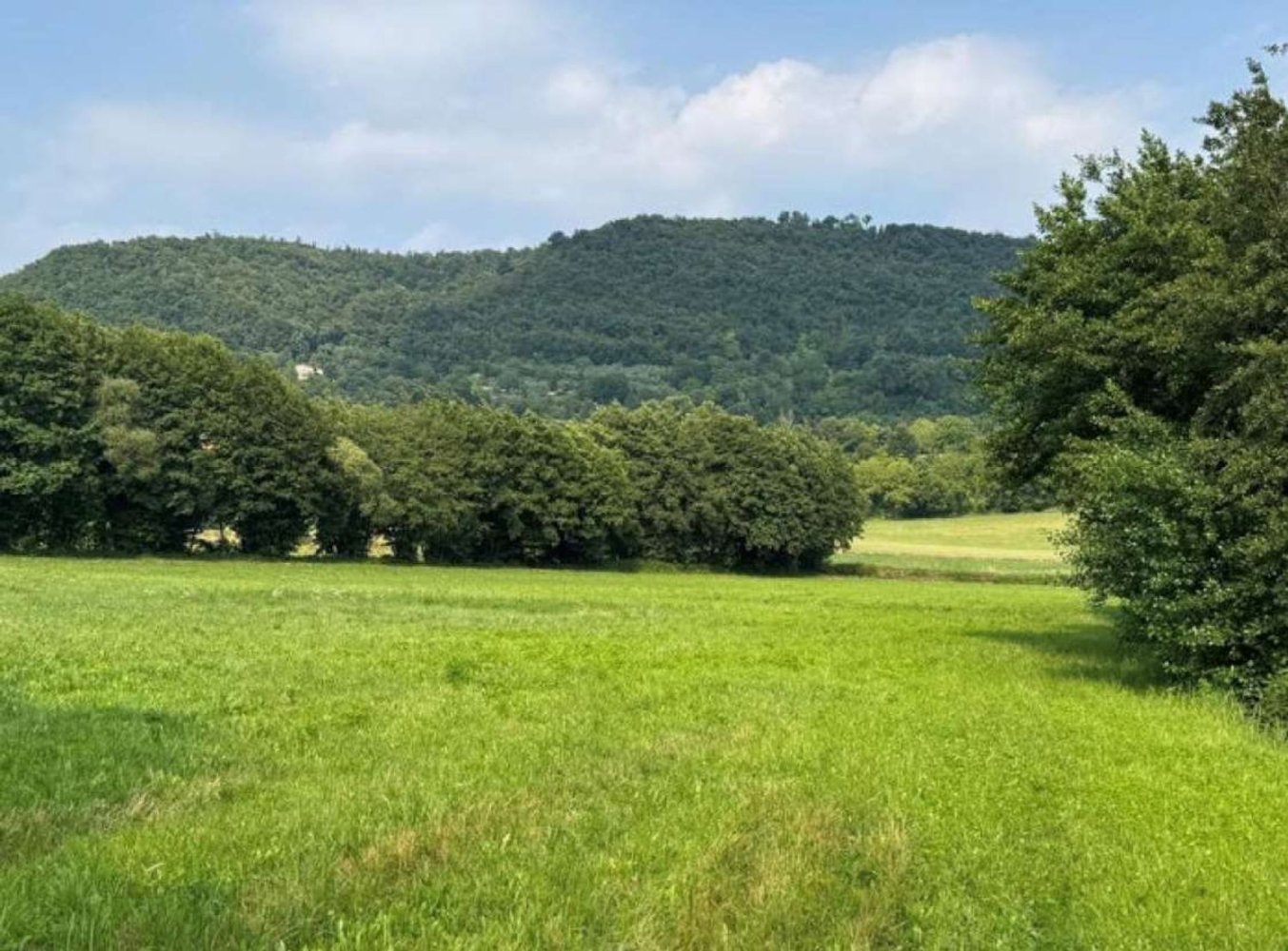 Земельный участок в Кастельгомберто, Италия № 341924