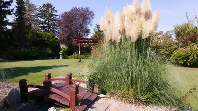 4-Zimmer Grundstück in Schwechat, Austria, Nr. 167272