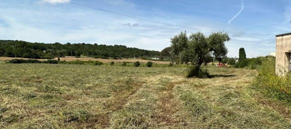 6غرفة منزل في Ceglie Messapica, Italy رقم 104772 22