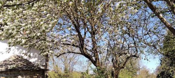 4 bedrooms House in Aveyron, France No. 288845 11