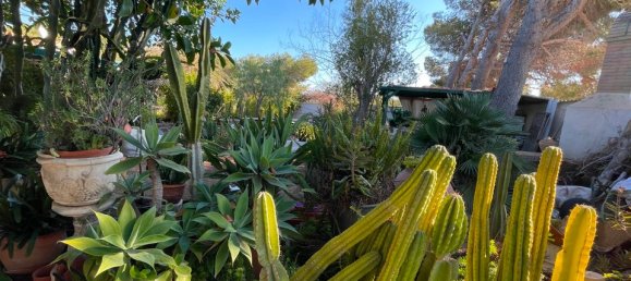 5 chambres Villa à Alicante, Spain No. 176040 7