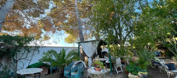 5 chambres Villa à Alicante, Spain No. 176040 10