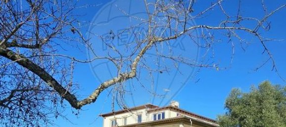 5 bedrooms House in Azinhoso, Portugal No. 39630 33