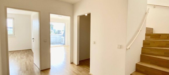3-Zimmer Penthouse in Wien, Austria, Nr. 177940 9
