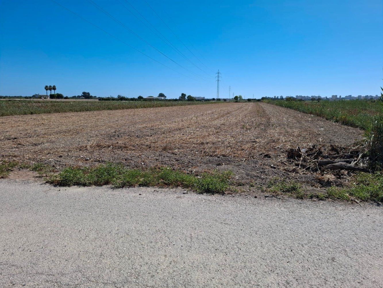 5589m² Land in Guardamar del Segura, Spain No. 206429