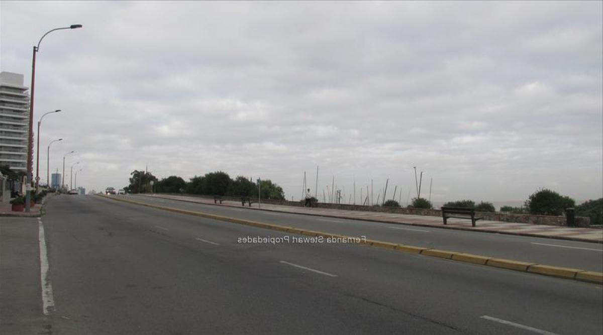 استوديو في Montevideo, Uruguay رقم 9419