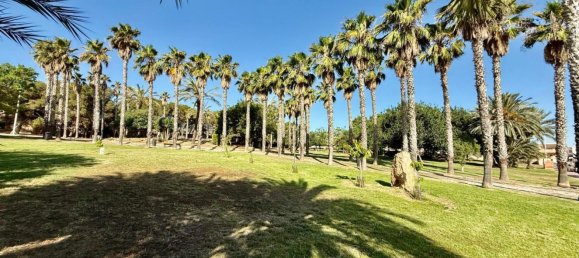 Casa de 4 dormitorios en Torrevieja, Spain No. 154545 38