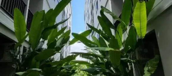 Wohnung in Phuket, Thailand 22.5m², Nr. 173636 10