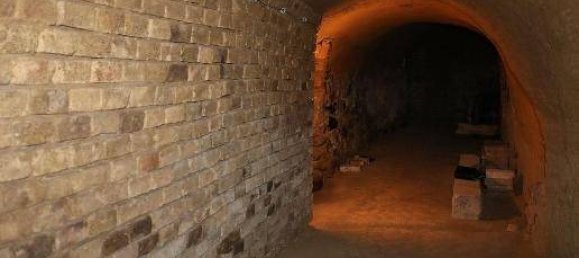  عقار تجاري في Grafenworth, Austria رقم 188530 7