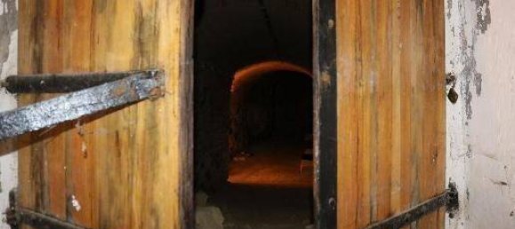  عقار تجاري في Grafenworth, Austria رقم 188530 13