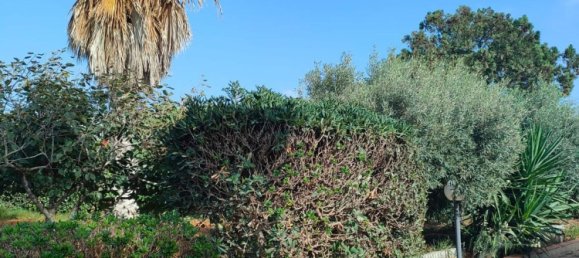 4-Zimmer Villa in Portopalo di Capo Passero, Italy, Nr. 162437 25