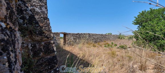 9 bedrooms House in Ugento, Italy No. 86712 17