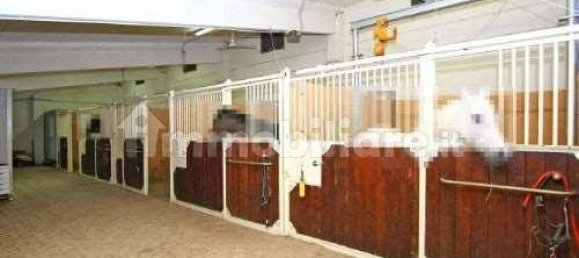 Armazém de 5 divisões em Casciana Terme Lari, Italy N.º 72399 13