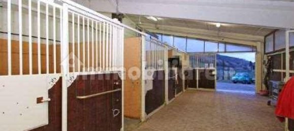 Armazém de 5 divisões em Casciana Terme Lari, Italy N.º 72399 8