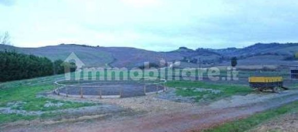 Armazém de 5 divisões em Casciana Terme Lari, Italy N.º 72399 16