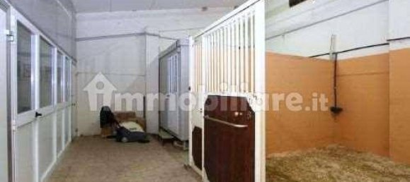 Armazém de 5 divisões em Casciana Terme Lari, Italy N.º 72399 9