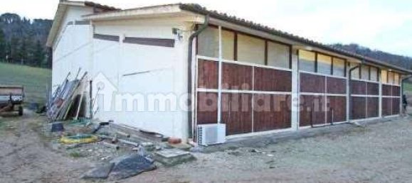 Armazém de 5 divisões em Casciana Terme Lari, Italy N.º 72399 6