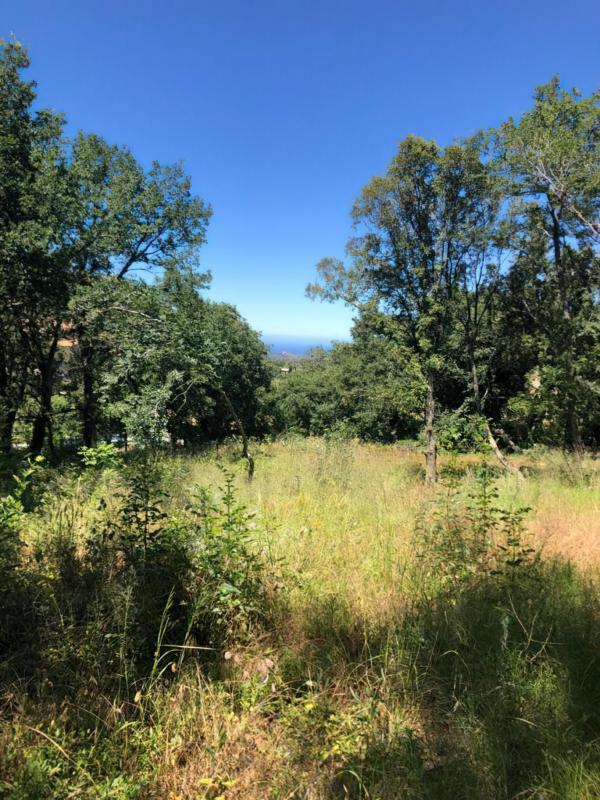  Land in Ville-di-Paraso, France No. 69898