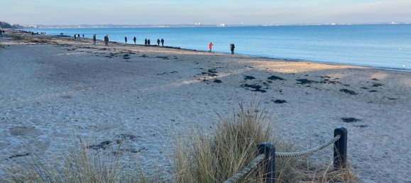 Estudio en Ostholstein, Germany No. 310713 12