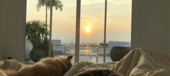 4 bedrooms Villa in Chalong, Thailand No. 6016 14