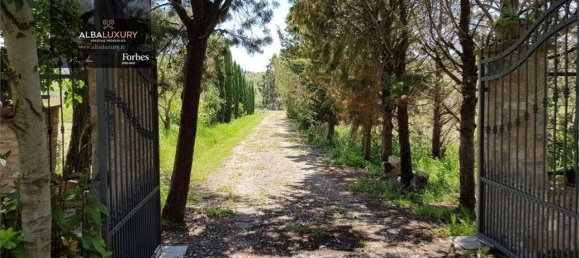 4 bedrooms House in Grosseto, Italy No. 102389 8