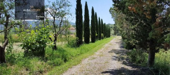 4 bedrooms House in Grosseto, Italy No. 102389 6