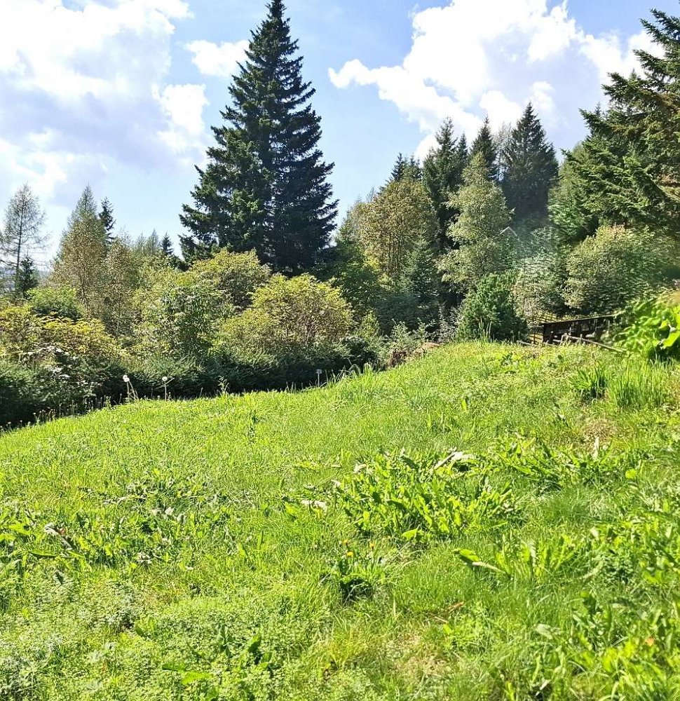  Land in Obdach, Austria No. 122015