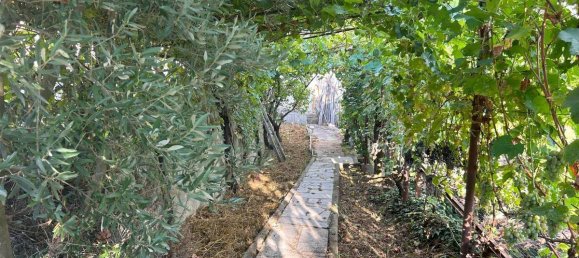 4 bedrooms House in Magliano Alpi, Italy No. 371795 40